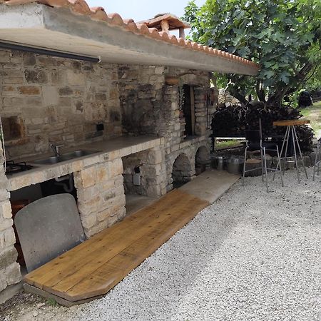 Marti'S House In The Olive Grove Apartman Fažana Kültér fotó