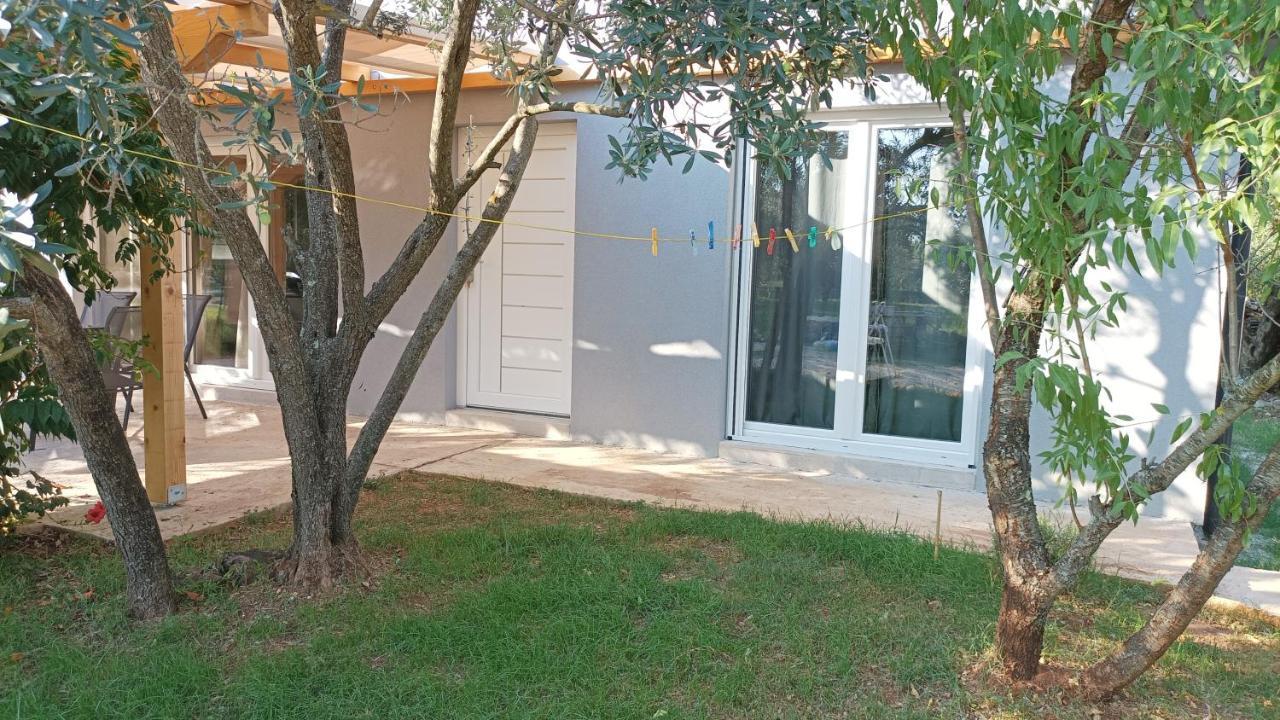 Marti'S House In The Olive Grove Apartman Fažana Kültér fotó