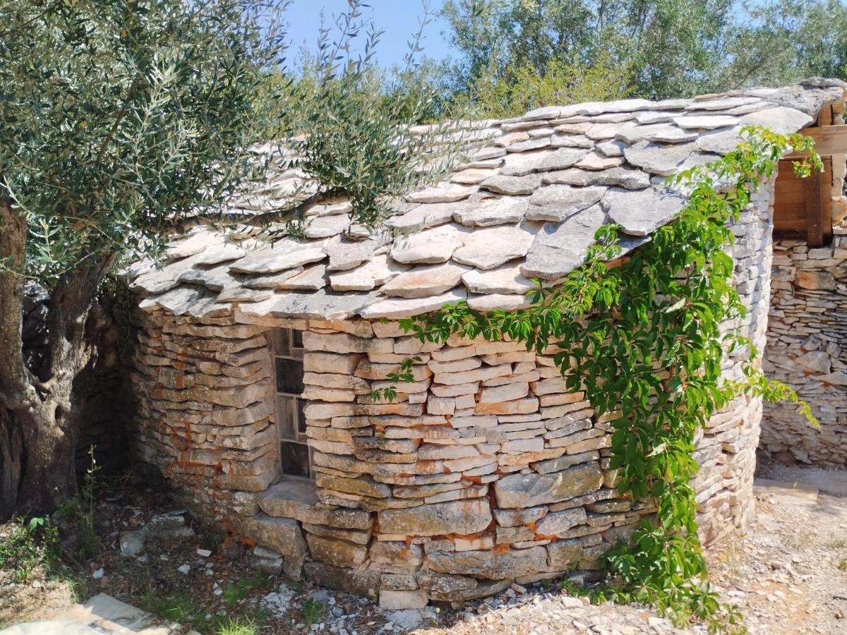 Marti'S House In The Olive Grove Apartman Fažana Kültér fotó