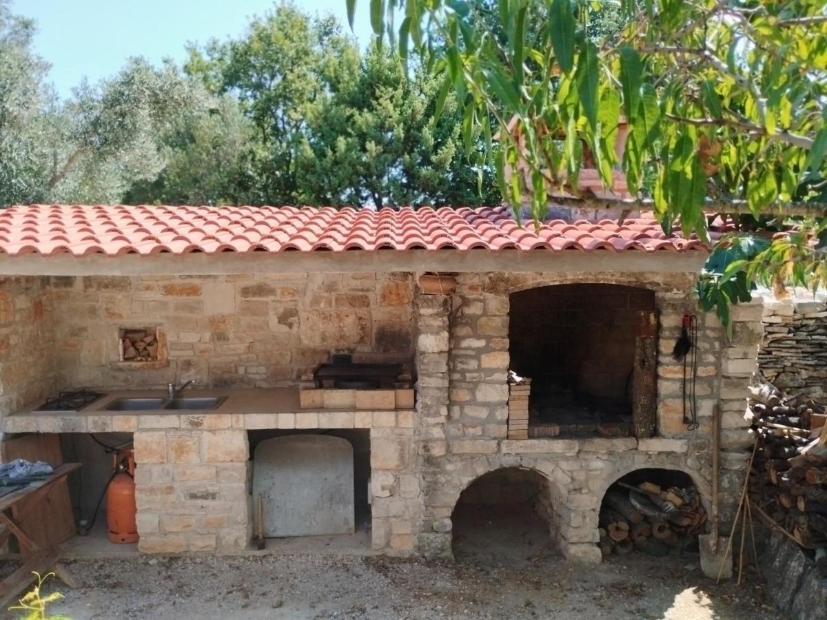 Marti'S House In The Olive Grove Apartman Fažana Kültér fotó