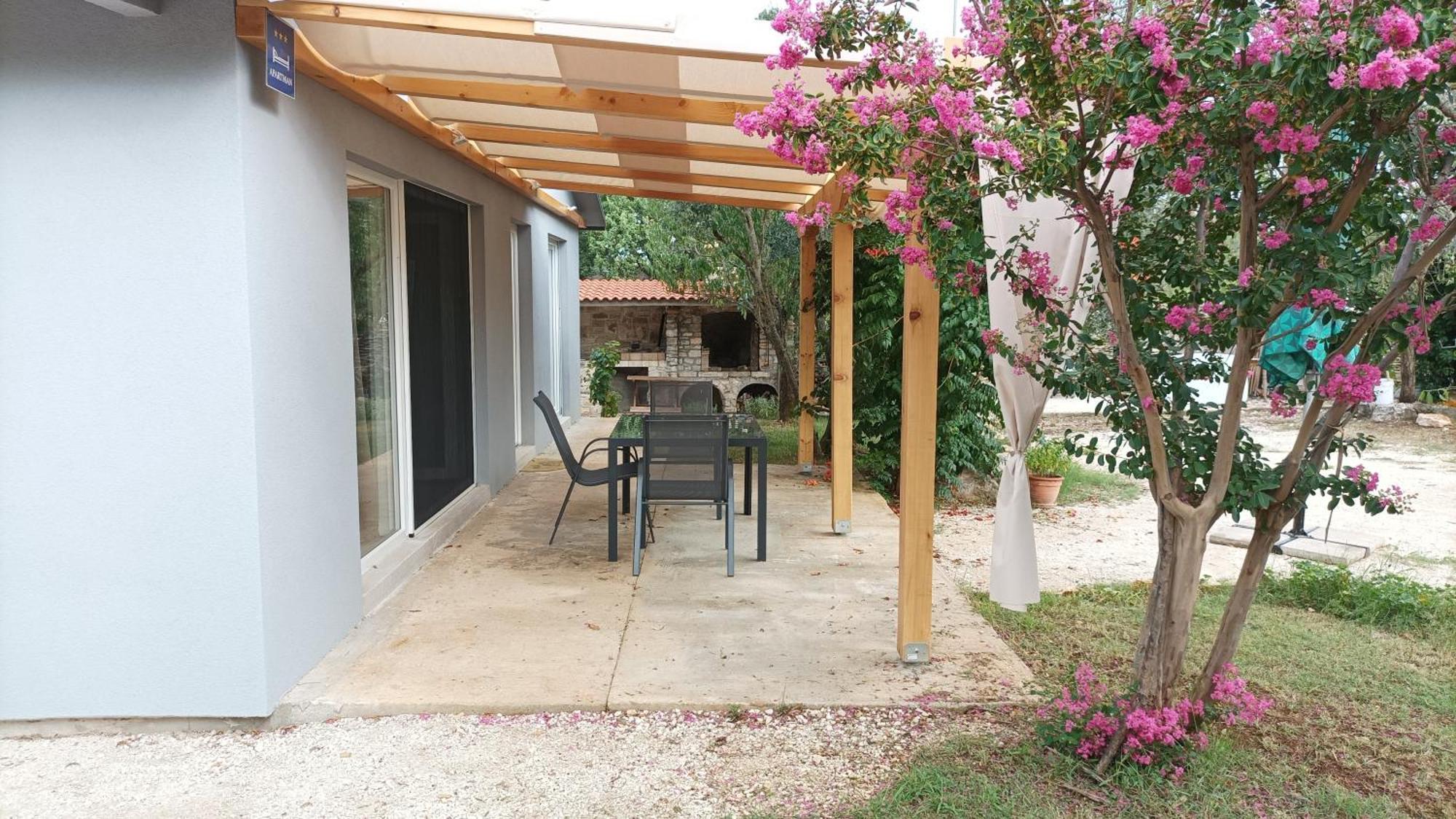 Marti'S House In The Olive Grove Apartman Fažana Kültér fotó